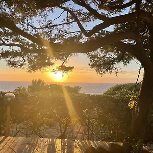 Dei Ginepri , Costa Paradiso Italia